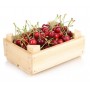 Cerezas orgánica - 2,4 kgs.