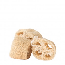 Esponja vegetal x 3 unidades - Sentida Botánica