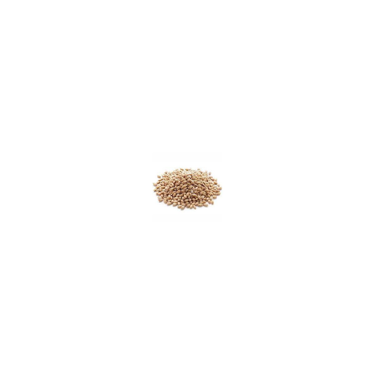 Cebada perlada x kg. Cebada perlada x kg.