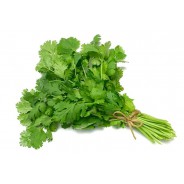 Cilantro x atado