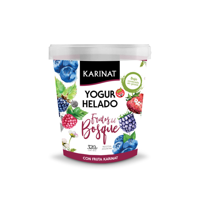 Yogurt Helado con frutos del bosque x 320 grs Karinat