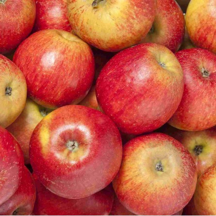 Manzana roja orgánica x kg. (Variedad Gala)