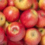 Manzana roja orgánica x kg. (Variedad Gala)
