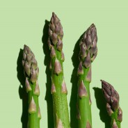 Espárragos orgánicos