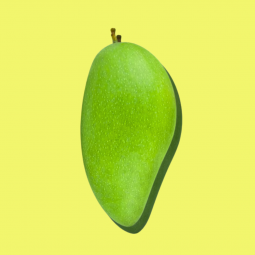 Manga Orgánica x unidad