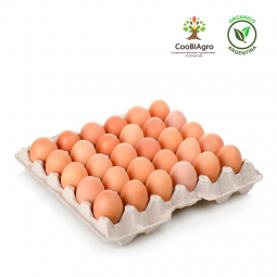 Maple de 30 huevos orgánicos (tamaño XL) - CooBiAgro