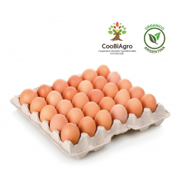 Maple de 30 huevos orgánicos (tamaño L) - CooBiAgro