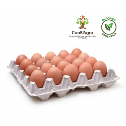 Maple de 20 huevos orgánicos (tamaño XL) - CooBiAgro