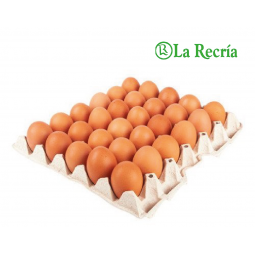 Maple de huevos de campo - La Recría