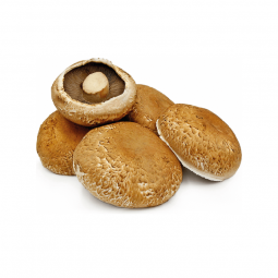 Portobello convencional x 200 g