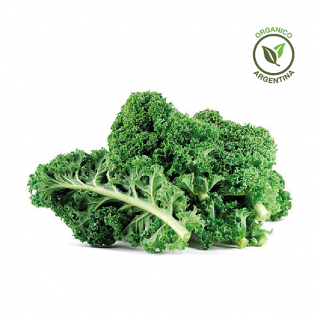 Kale orgánico