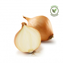 Cebolla orgánica x kg