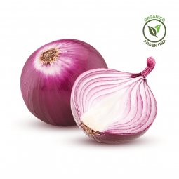 cebolla morada orgánica