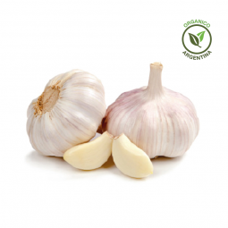 Ajo chico orgánico x Unidad