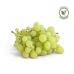 Uva blanca sin semilla orgánica x 500 grs.