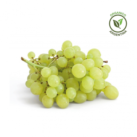 Uva blanca sin semilla orgánica x 500 grs.