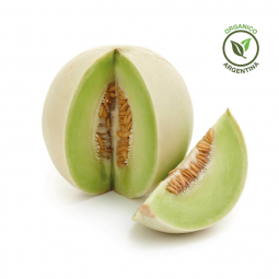 Melón rocío de miel orgánico x unidad (2 kgs aprox)