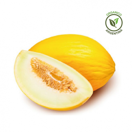 Melon amarillo orgánico x unidad (1,2 kgs aprox)