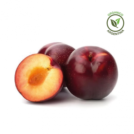 Ciruela Orgánica x 500gr