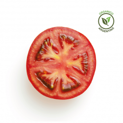 Tomate redondo orgánico