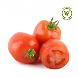 tomate perita orgánico