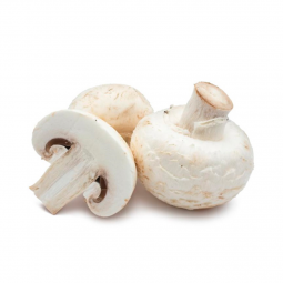 Champiñón orgánico