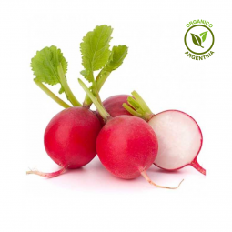 Rabanito orgánico x 300 gr. aprox