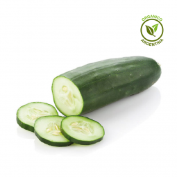 Pepino Orgánico x kg.