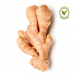 Jengibre orgánico x 100 g