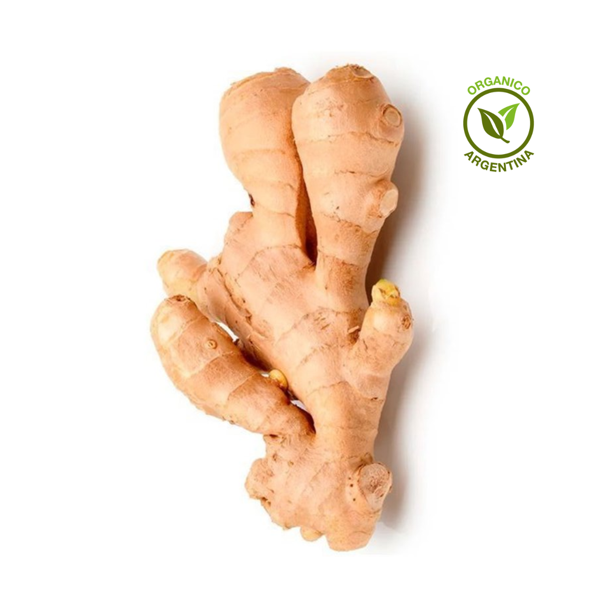 Jengibre orgánico x 100 g Jengibre orgánico x 100 g