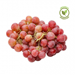 Uva cereza orgánica x 500 grs.