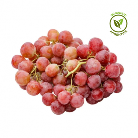 Uva cereza orgánica x 500 grs.