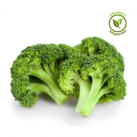 Brócoli Orgánico