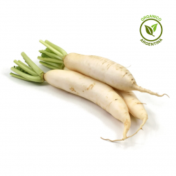 Nabo orgánico x unidad