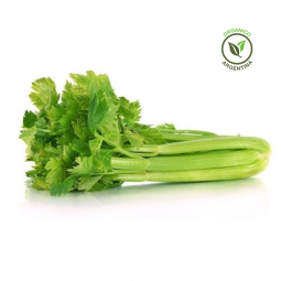 Apio orgánico x atado (750 grs. aprox)