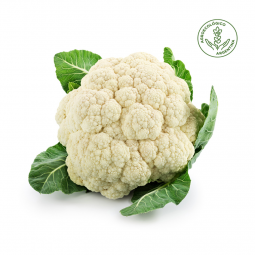 Coliflor agroecológico x cabeza (500 grs. aprox)