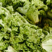 lechuga orgánica