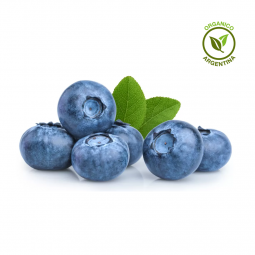 Arándanos orgánicos x 125 grs.