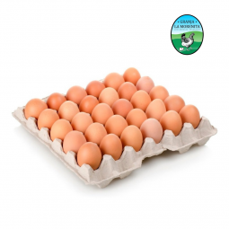 Maple Huevos Pastoriles (30 unidades) - La Morenita (sin empacar)