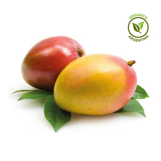 Mango Orgánico x unidad (400 grs. aprox)