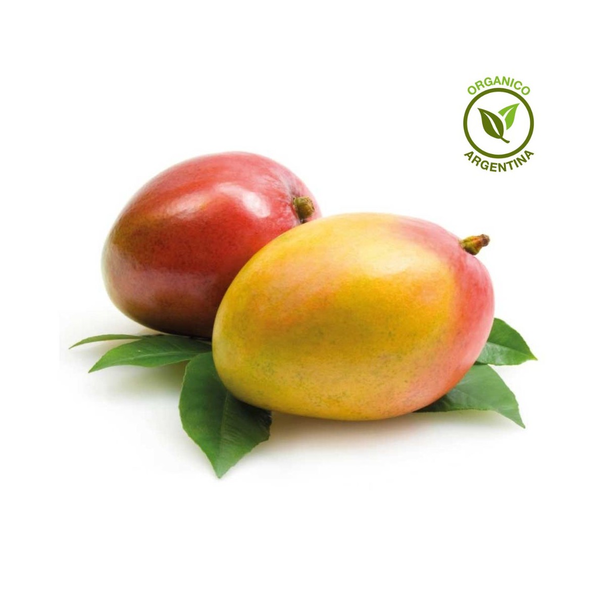 Mango Orgánico x unidad (400 grs. aprox) Mango Orgánico x unidad (400 grs. aprox)