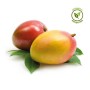 Mango Orgánico x unidad (400 grs. aprox)