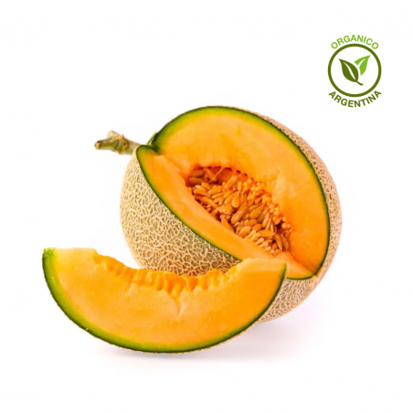 Melon escrito orgánico x unidad (1,5 kgs aprox)