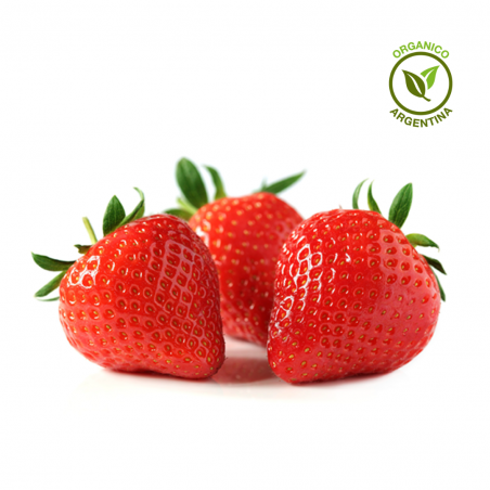 Frutillas orgánicas x 500 grs - Sembra