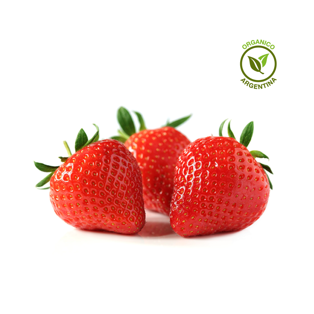Frutillas orgánicas x 500 grs - Sembra