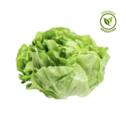 lechuga orgánica