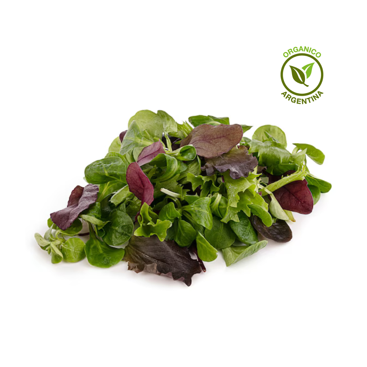 Mix ensalada orgánico x 300 gr. - Finca tres raices Mix ensalada orgánico x 300 gr. - Finca tres raices