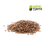 arveja orgánica