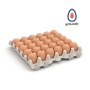 Maple de 30 huevos pastoriles (tamaño L) - Ovolución