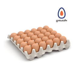 Maple de 20 huevos pastoriles (tamaño XL) - Ovolución